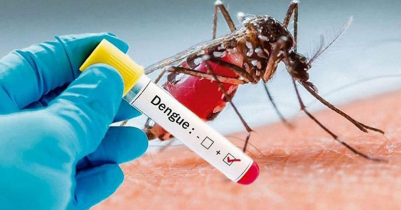 10 dengue patients d i e, 2748 hospitalised in a day