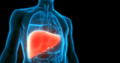 Early detection of liver cancer possible thru a simple blood test