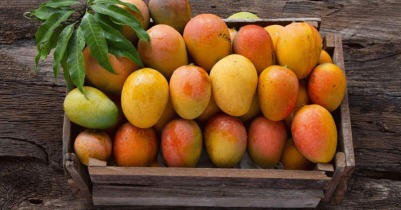 How to pick a good Mango