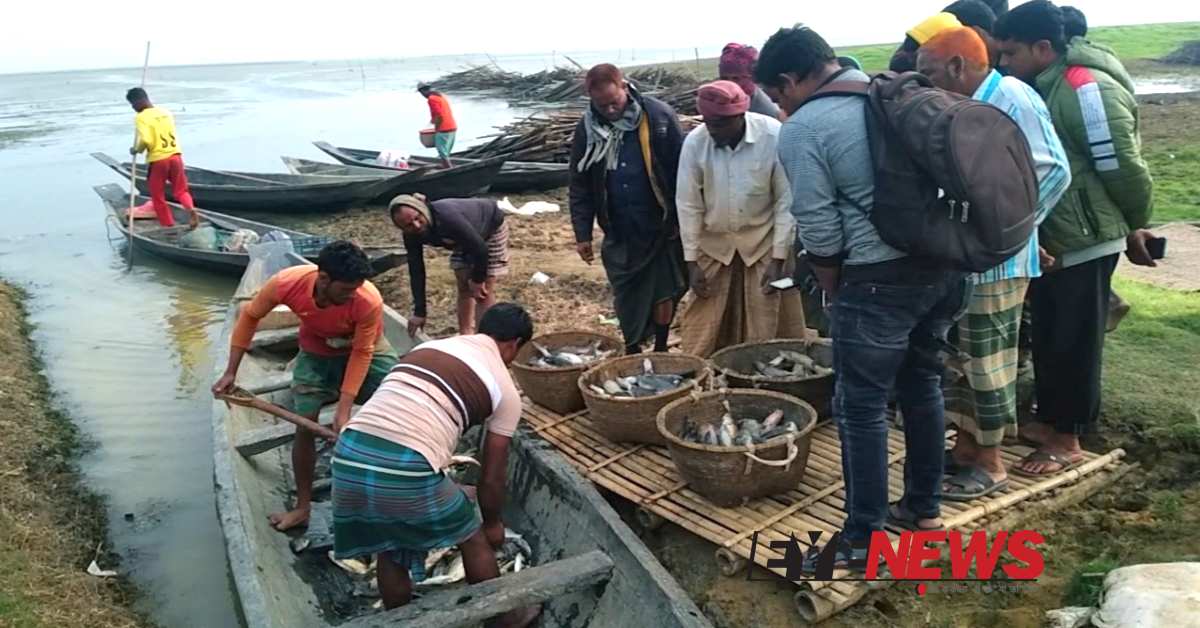 হাকালুকি হাওরে প্রতিদিন তাজা মাছ কিনতে ভিড় করেন ক্রেতারা। ছবি- আই নিউজ