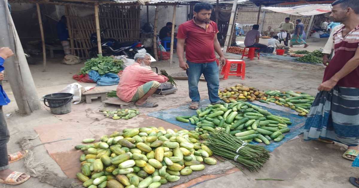 ক্রেতার অভাবে কৃষকরা তাদের উৎপাদিত শসা ও খিরা বাজারে তুলে বিপাকে পড়েছেন বিক্রি নিয়ে।