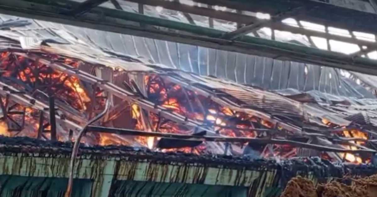 ছবি- সংগৃহীত