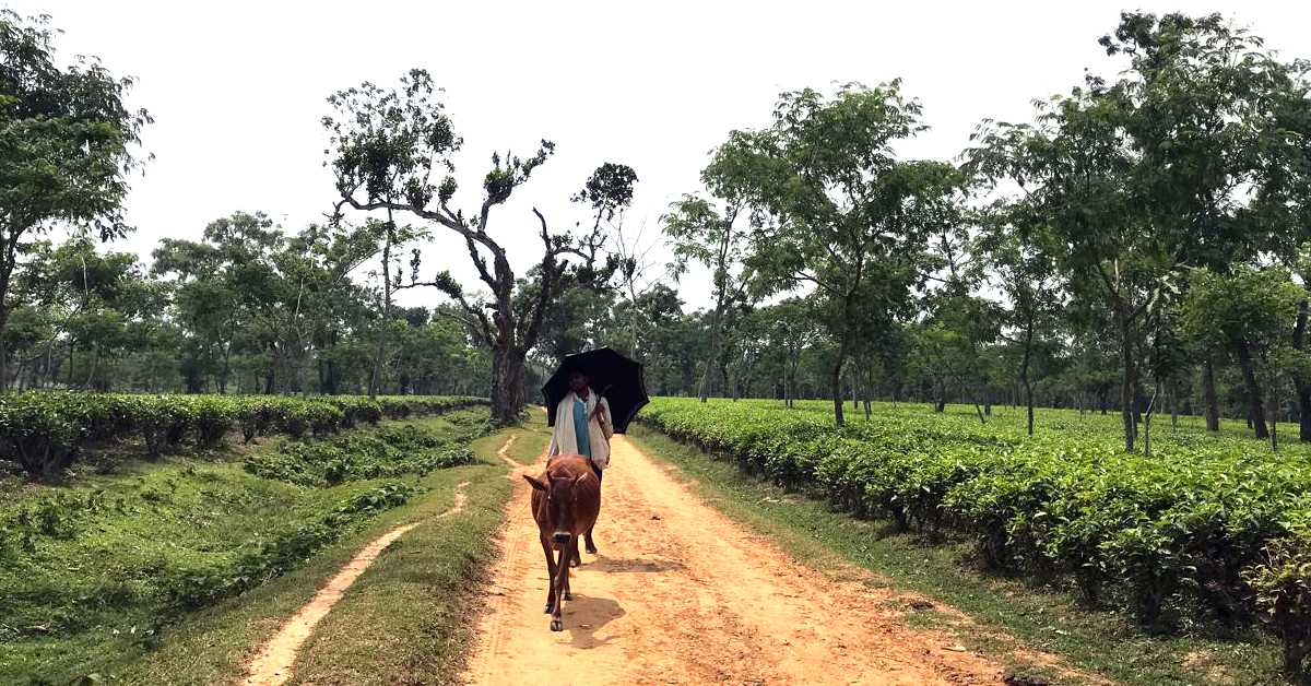 ছবি- আই নিউজ