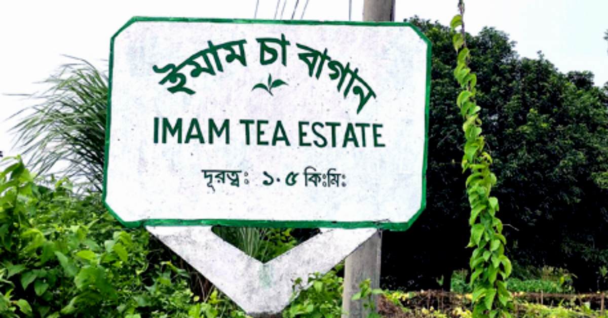 ফাইল ছবি ফাইল ছবি