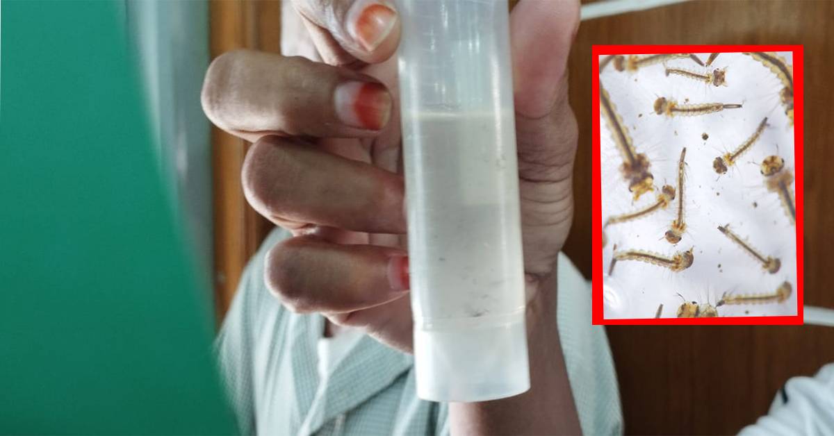 ছবি- আই নিউজ