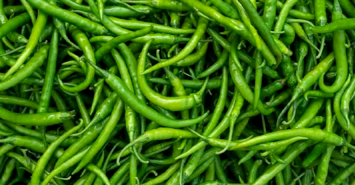 ফাইল ছবি ফাইল ছবি