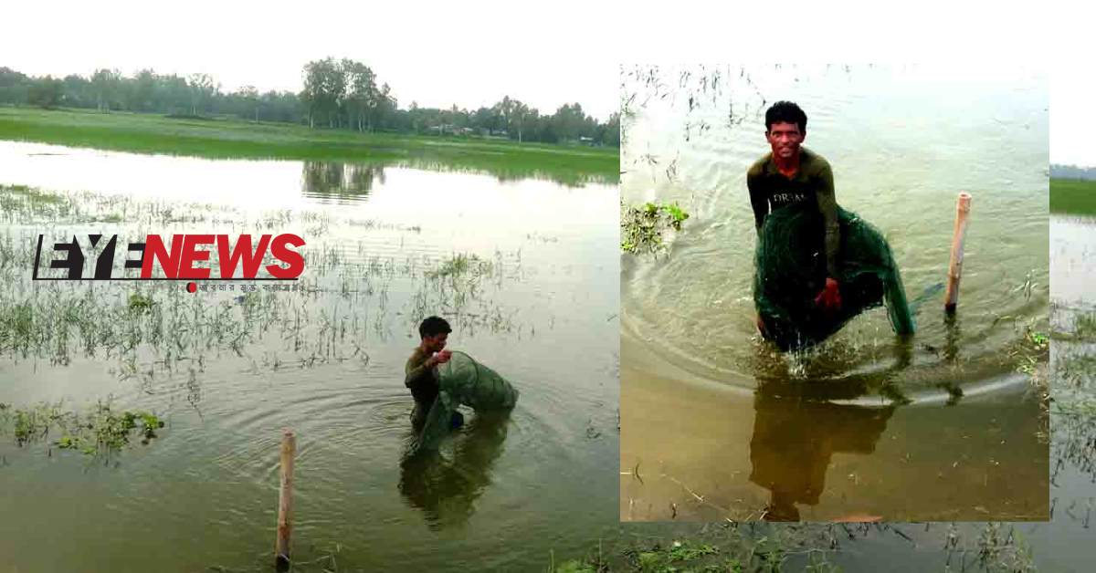 চায়না দুয়ারী টেপাই জাল উঠিয়ে নিয়ে আসছেন একজন স্থানীয় ব্যক্তি। ছবি-  আই নিউজ