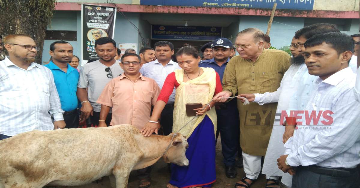সুবিধাভোগীর হাতে অনুদানের গরু তুলে দিচ্ছেন সংসদ সদস্য ড. মো: আব্দুস শহীদ। ছবি- আই নিউজ