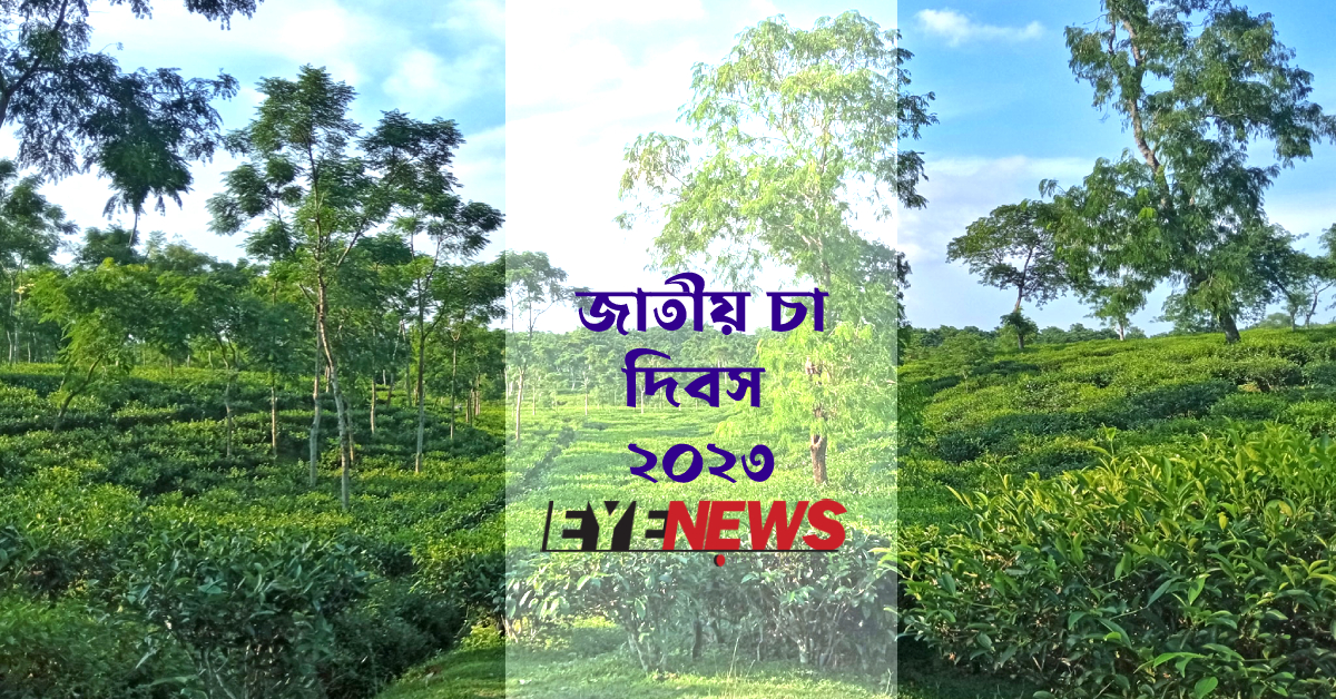 চায়ের রাজধানী শ্রীমঙ্গলের একটি চা বাগান। ছবি- হেলাল আহমেদ