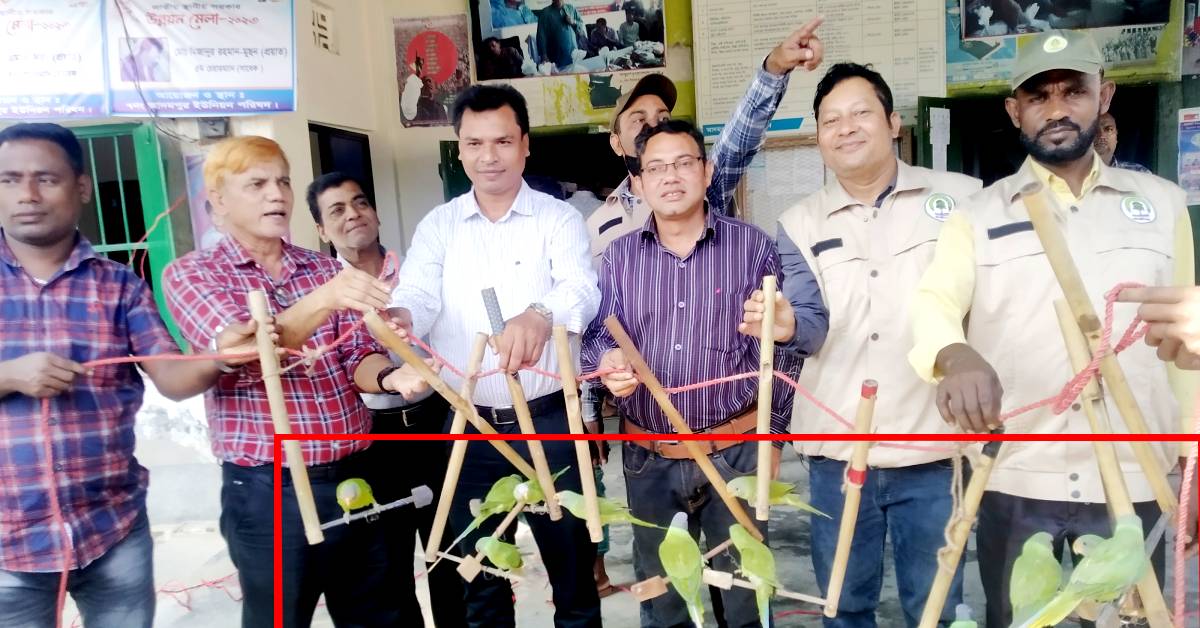 শিকারিদের কাছ থেকে উদ্ধার করা সবুজ টিয়া পাখি। ছবি- আই নিউজ