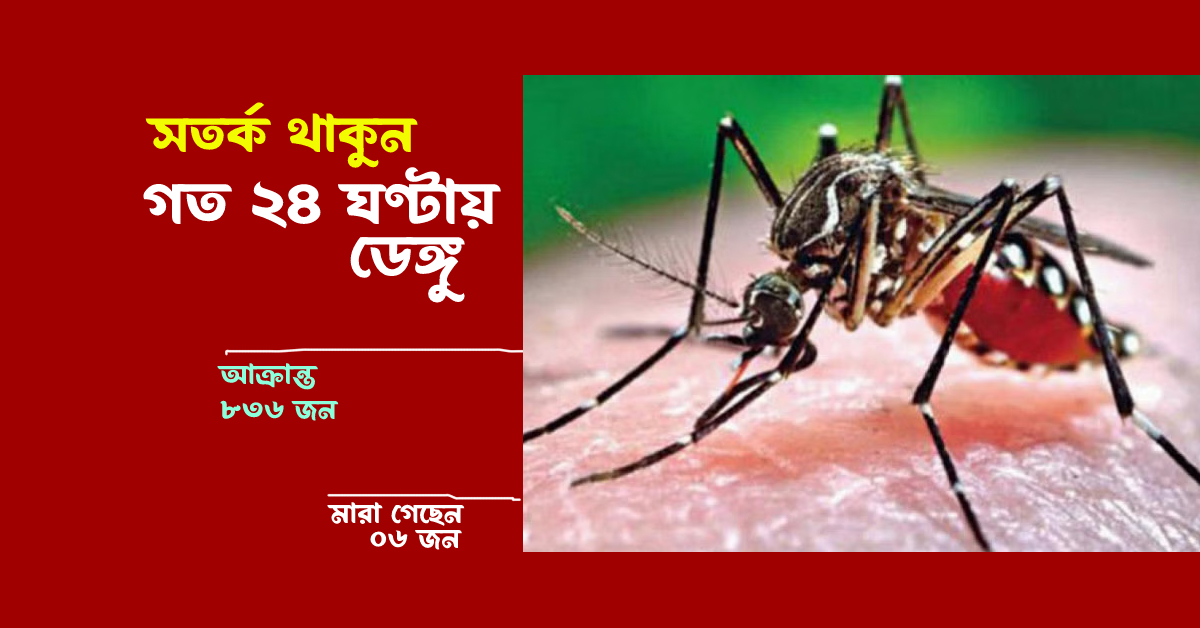 গত ২৪ ঘণ্টায় ডেঙ্গুতে ৬ জন মারা গেছেন।