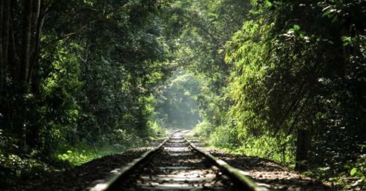 লাউছড়ায় হালকা কুয়াশায় ঘেরা ট্রেনলাইন।