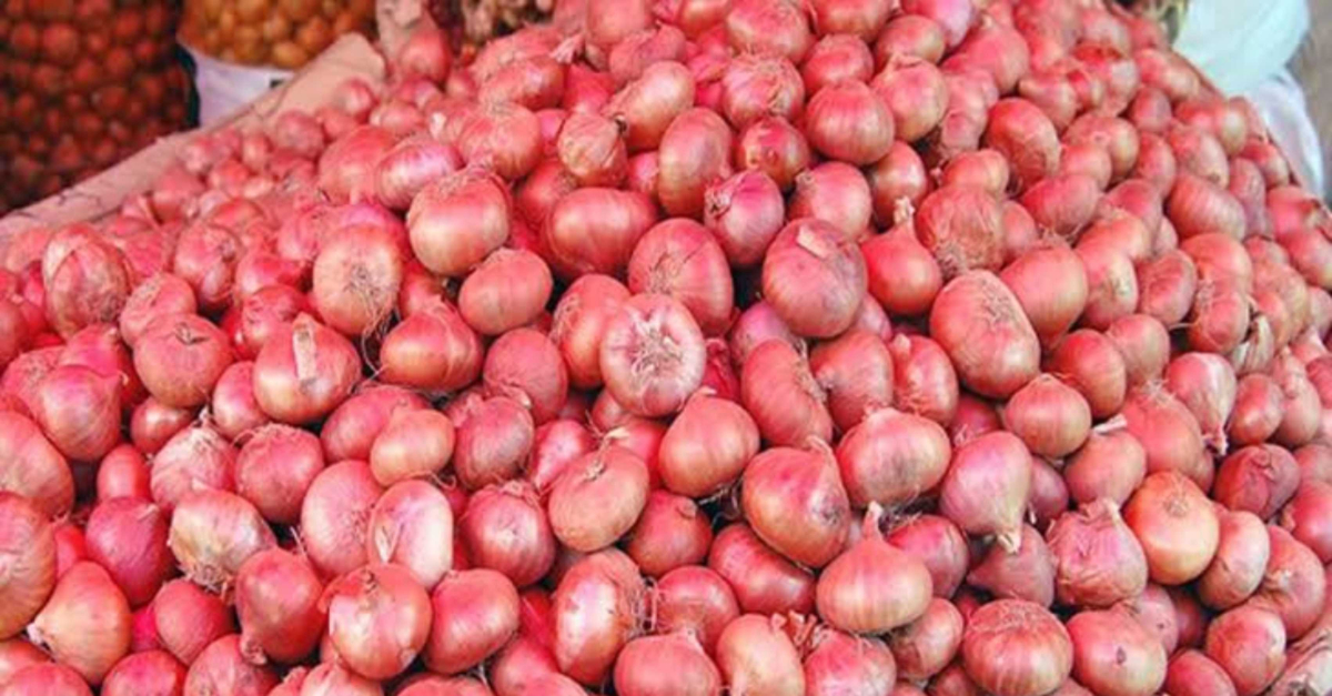 ফাইল ছবি ফাইল ছবি