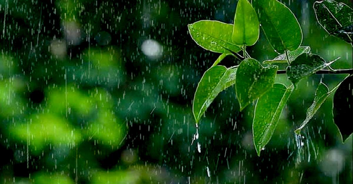 পুরোনো ছবি