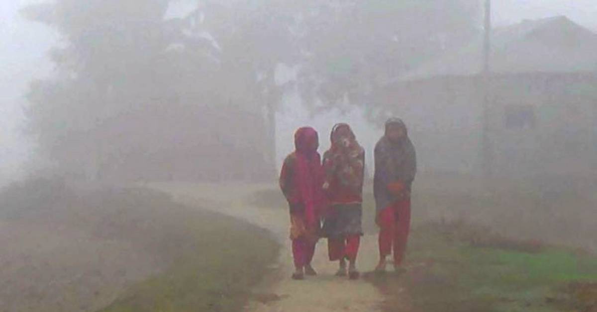 ফাইল ছবি