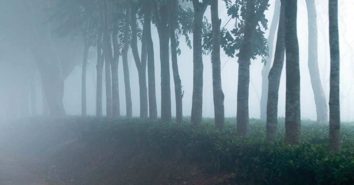 শ্রীমঙ্গলে আজ সর্বনিম্ন তাপমাত্রা ৯.৭ ডিগ্রি রেকর্ড কয়রা হয়েছে।