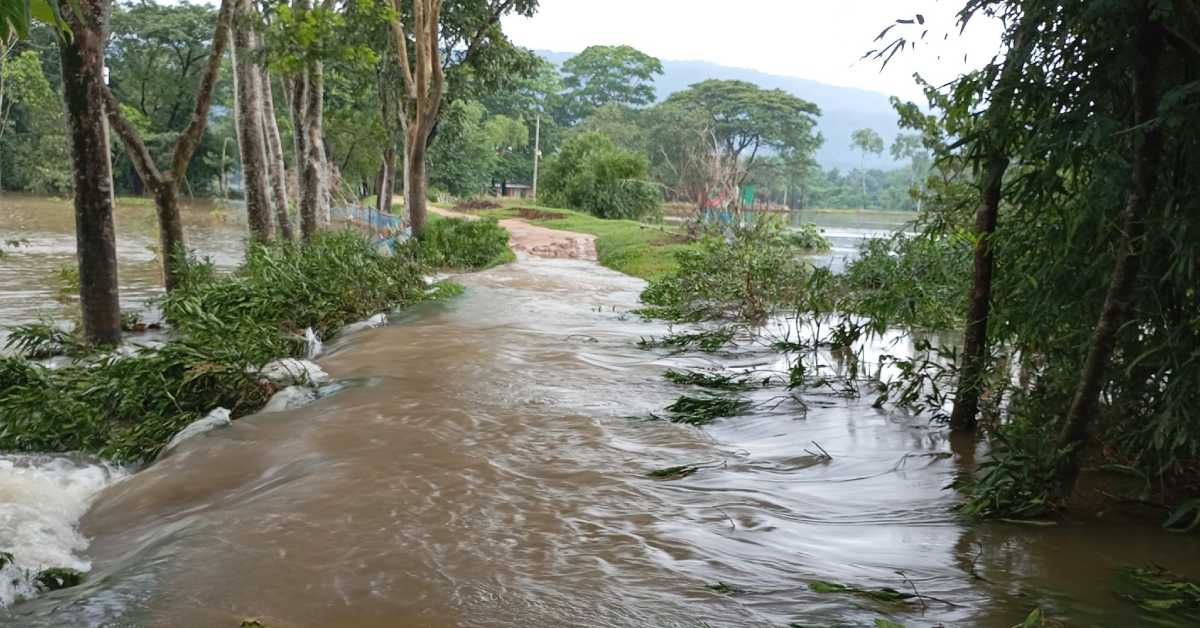 ছবি- সংগৃহীত ছবি- সংগৃহীত