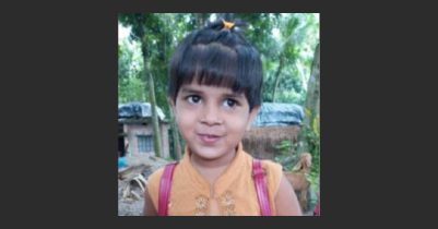 সাপের কামড়ে শার্শায় শিশুর মৃ/ত্যু