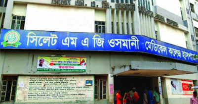 সিলেটে বন্যায় সাপের কামড় খেয়ে হাসপাতালে ১২ জন