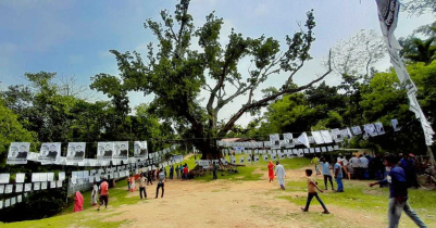 মৌলভীবাজারের ৩ উপজেলায় শুরু উপজেলা নির্বাচনের ভোটগ্রহণ 