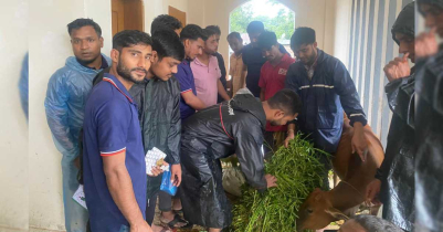 বানভাসি মানুষের পাশাপাশি গবাদিপশুর খাদ্যও নিয়ে গেলেন তারা বানভাসি মানুষের পাশাপাশি গবাদিপশুর খাদ্যও নিয়ে গেলেন তারা