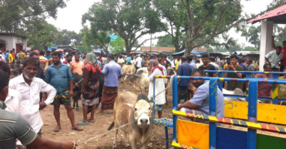 রাণীশংকৈলে কাতিহার পশুর হাটে এক লক্ষ টাকা জরিমানা