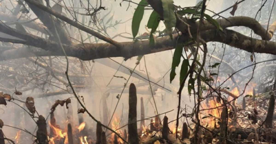 নিয়ন্ত্রণে এলো সুন্দরবনের আগুন 