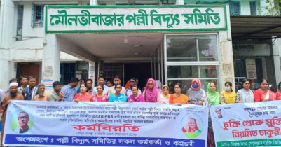 মৌলভীবাজারে পল্লী বিদ্যুৎ সমিতির কর্মবিরতি পালন মৌলভীবাজারে পল্লী বিদ্যুৎ সমিতির কর্মবিরতি পালন
