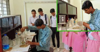 কলাগাছের তন্তু থেকে টাইলস আবিষ্কার করলো শ্রীমঙ্গলের ক্ষুদে বিজ্ঞানী সাজ্জাদুল