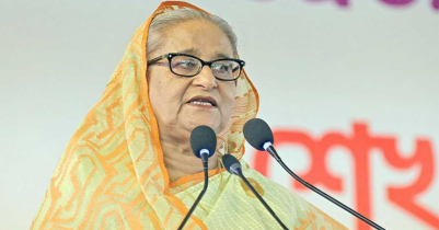 বিএনপি-জামায়াত আন্দোলনের নামে বৃক্ষনিধন করেছে : প্রধানমন্ত্রী 