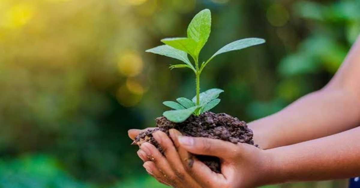 আজ বিশ্ব পরিবেশ দিবস