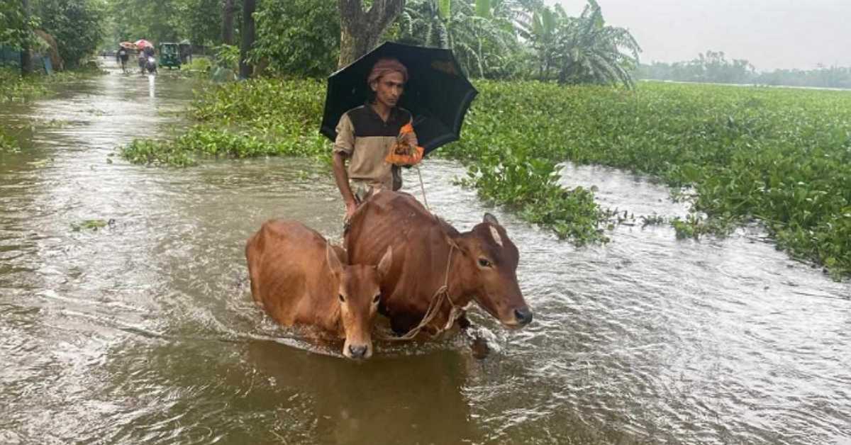 ছবি- সংগৃহীত ছবি- সংগৃহীত