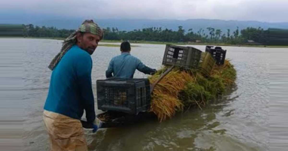 ছবি- সংগৃহীত