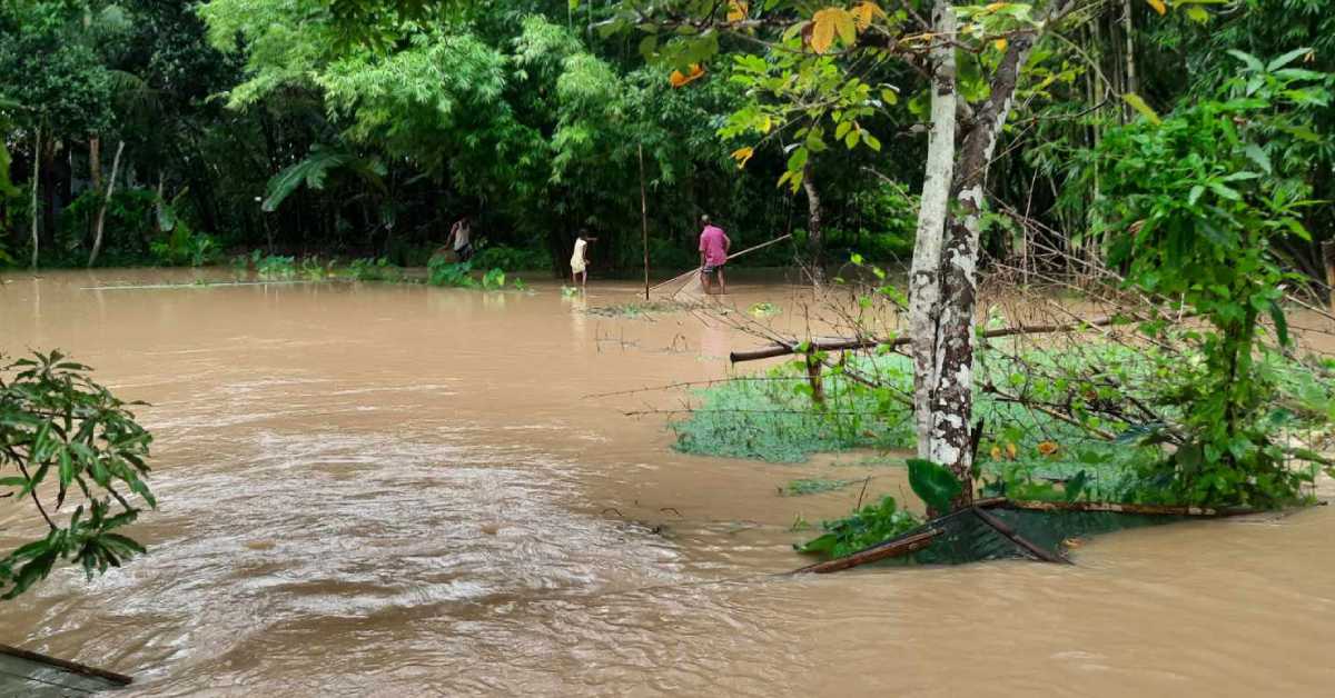 বন্যায় জেলায় প্রাণীসম্পদ খাতে ক্ষতি হয়েছে প্রায় ৮৪ লাখ টাকা। বন্যায় জেলায় প্রাণীসম্পদ খাতে ক্ষতি হয়েছে প্রায় ৮৪ লাখ টাকা।
