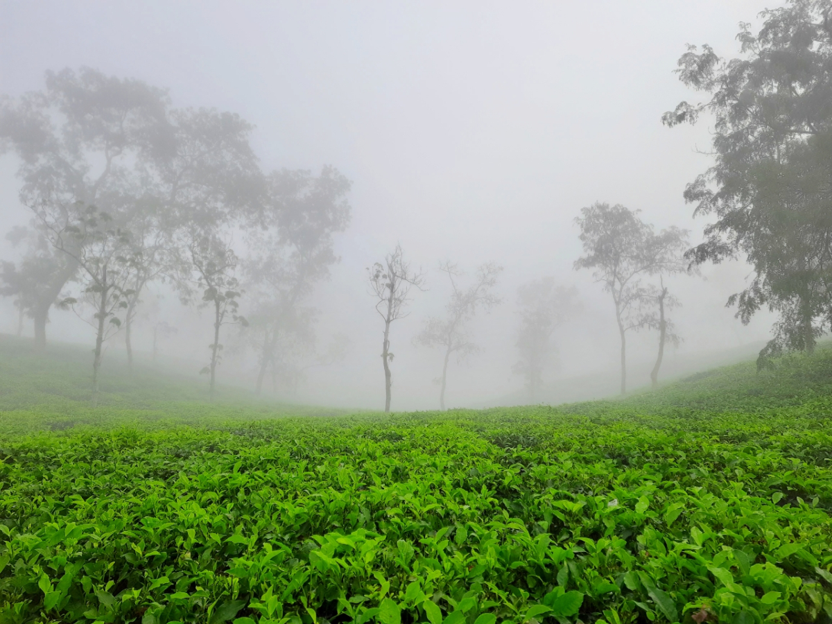 ছবি: আই নিউজ