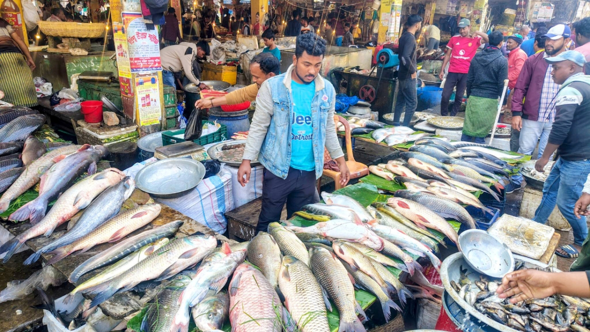 পৌষসংক্রান্তিকে ঘিরে কমলগঞ্জে জমজমাট ঐতিহ্যবাহী মাছের মেলা। ছবি: আই নিউজ