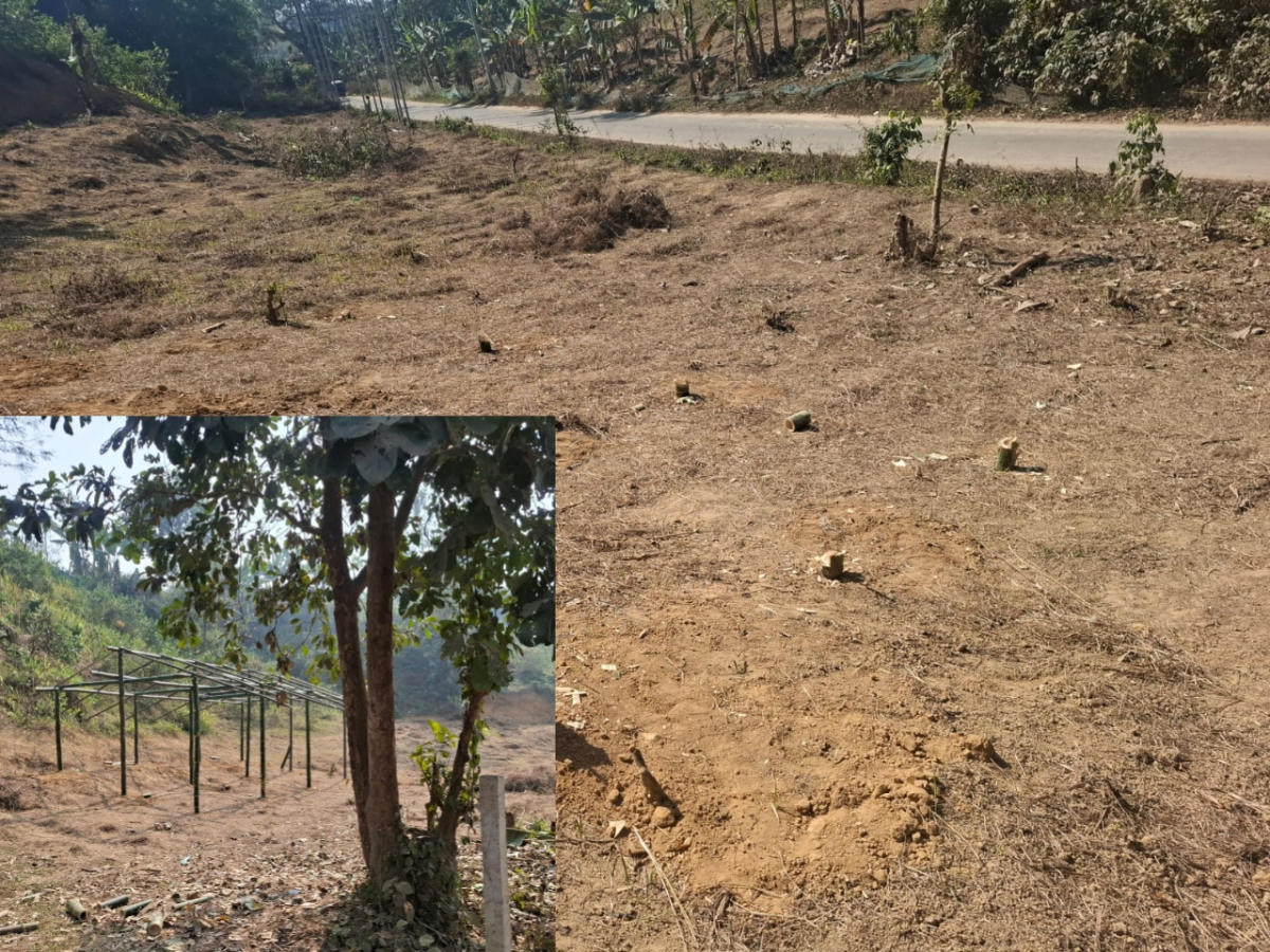 ছবি: আই নিউজ