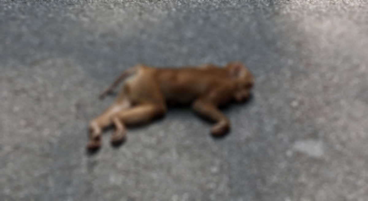 ছবি: আই নিউজ