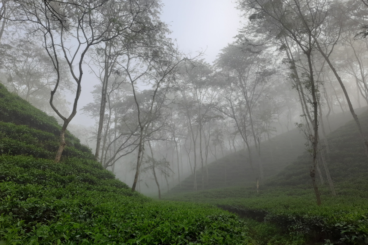 ছবি: আই নিউজ