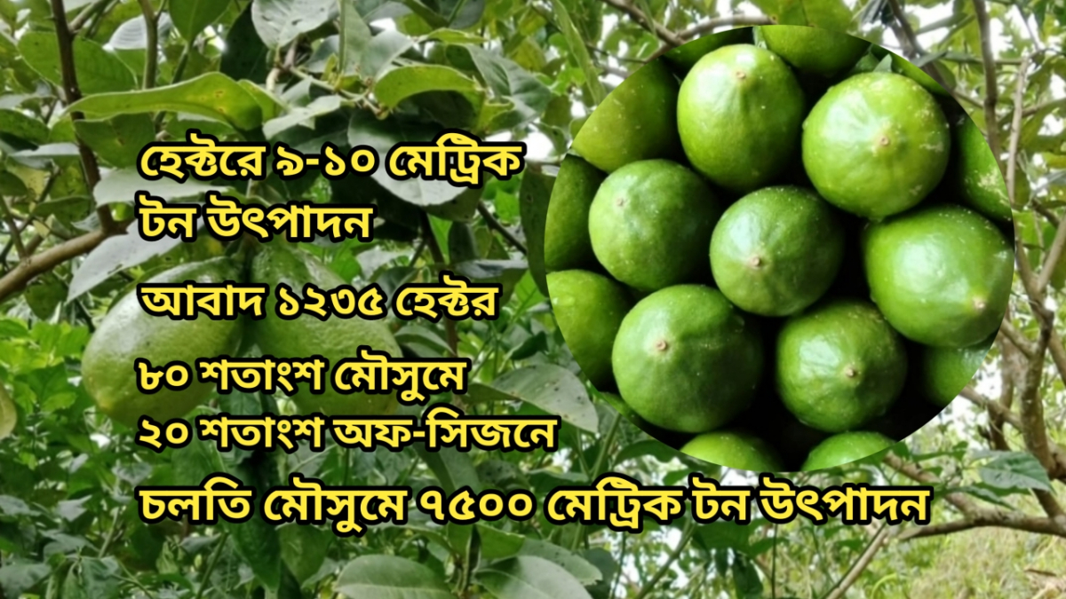 ছবি: আই নিউজ