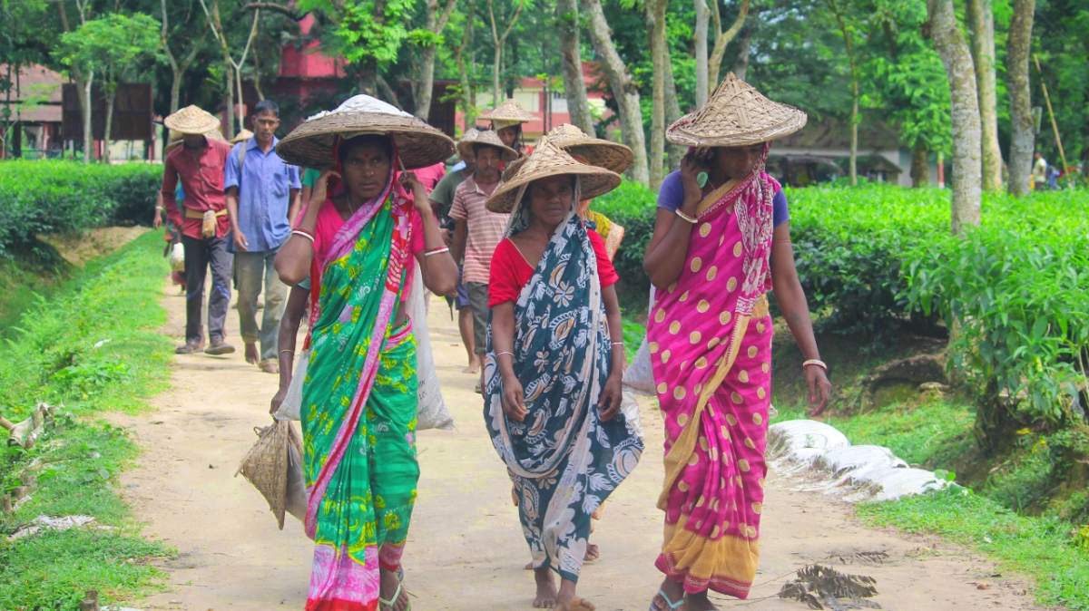 ছবি: আই নিউজ