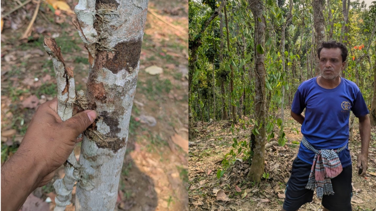 ছবি: আই নিউজ