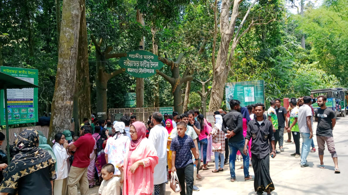 লাউয়াছড়া জাতীয় উদ্যানের মুল ফটক। ছবি: আই নিউজ লাউয়াছড়া জাতীয় উদ্যানের মুল ফটক। ছবি: আই নিউজ