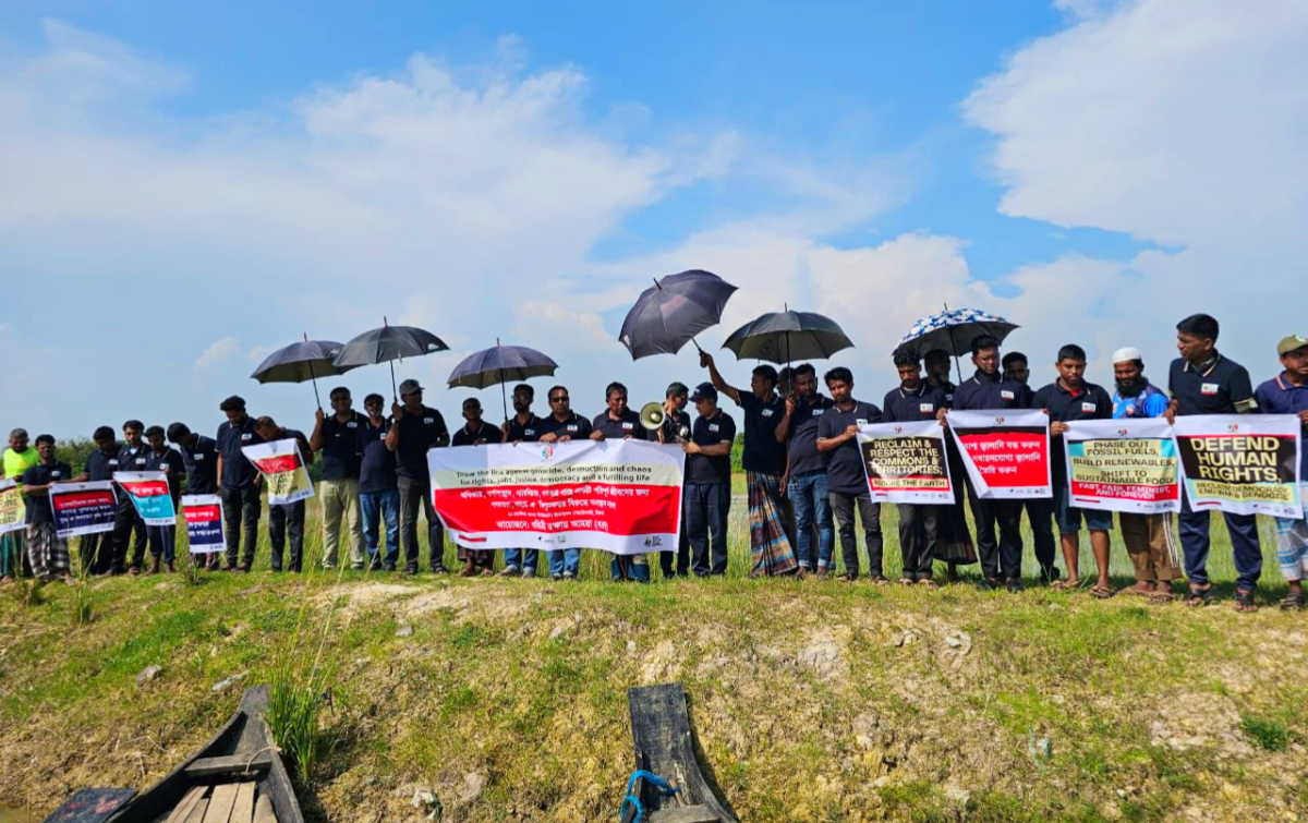 সিলেট রাতারগুল জলার বনের মাঝের ঘাট থেকে। ছবি: আই নিউজ সিলেট রাতারগুল জলার বনের মাঝের ঘাট থেকে। ছবি: আই নিউজ