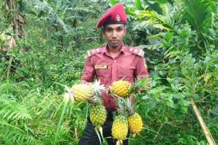 কৃষিতে ঈর্ষণীয় সাফল্য, বছরে ৩০ লক্ষ আয়