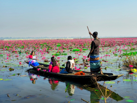 শাপলা শুধু একটি ফুল নয়, নারীদের অনুভূতির ভাষা শাপলা শুধু একটি ফুল নয়, নারীদের অনুভূতির ভাষা