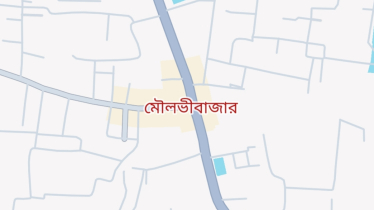 মৌলভীবাজারে পরিত্যক্ত অবস্থায় ৯টি এয়ারগান উদ্ধার