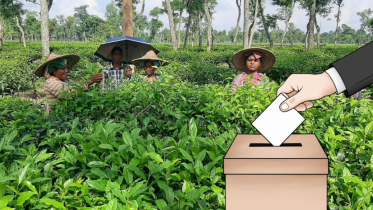 পর্যটন ঘিরে নির্বাচনী অঙ্গীকার: প্রত্যাশা আর প্রশ্নে ভোটাররা