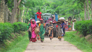 চায়ের কাপে সুখ, শ্রমিক নারীর জীবনে বঞ্চনার গল্প