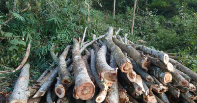More Than One-Third of Forest Land Encroached in Sylhet